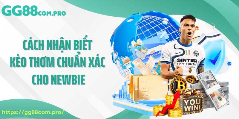 Cách nhận biết kèo cược ngon chuẩn xác cho newbie